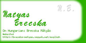 matyas brecska business card