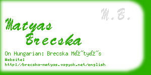 matyas brecska business card